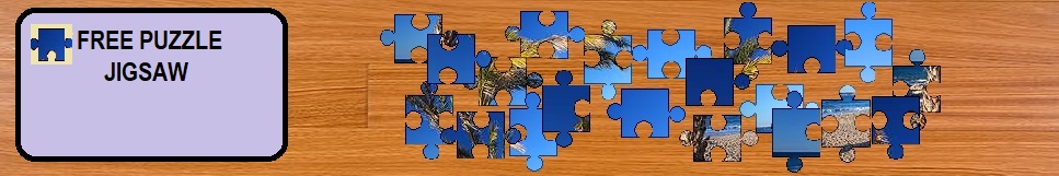 Puzzle header